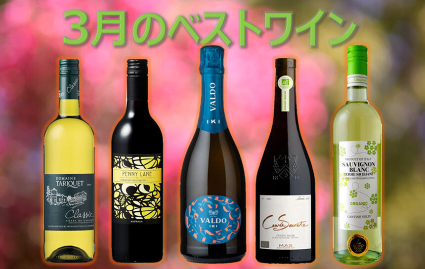 今月のベストワイン