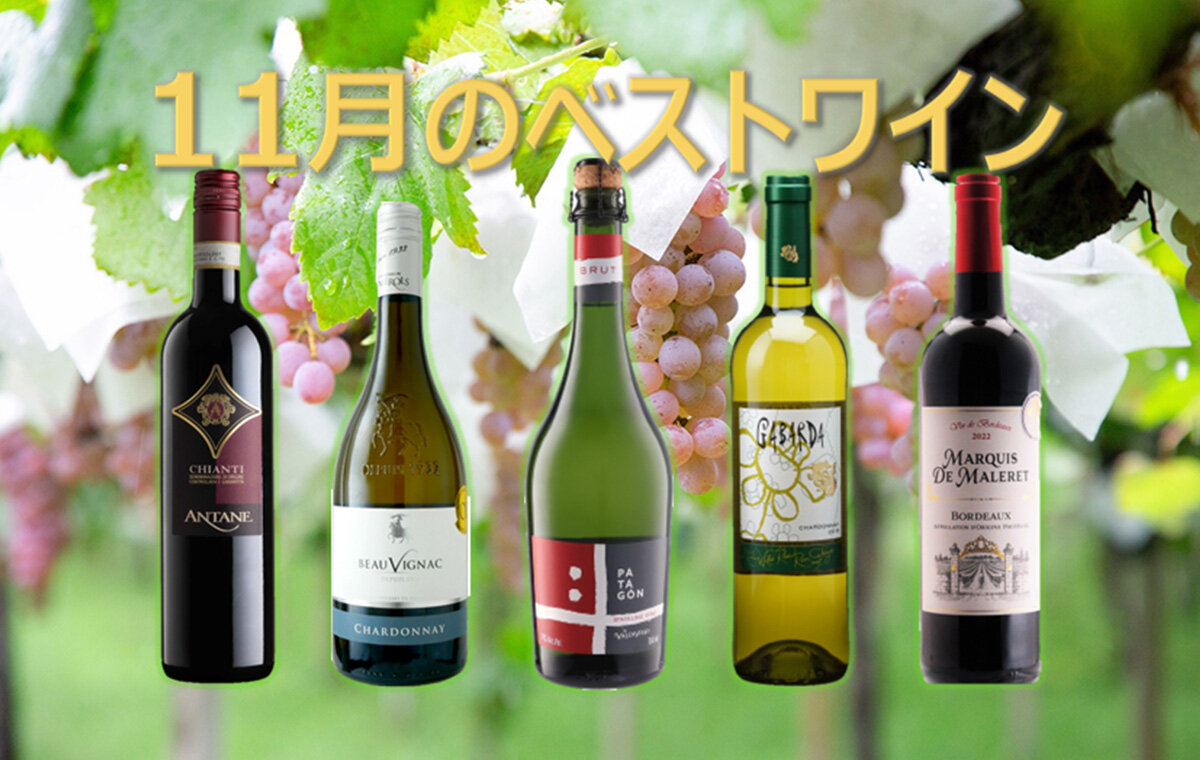 今月のベストワイン