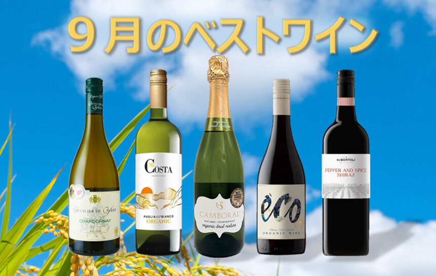 今月のベストワイン